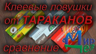 Ссылка