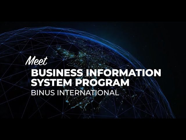 Business Information Systems (International Program)