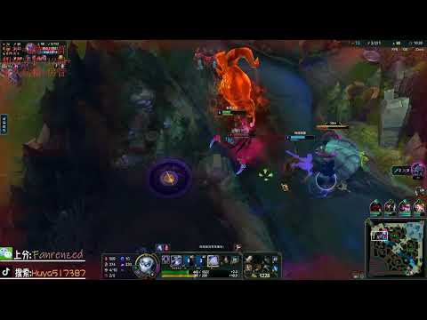 Fanen Zed vs Anivia CN server D1