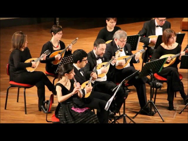 State Music Conservatory G Verdi Turin video #1