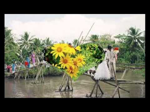 Tình quê yêu dấu - Hà Vân