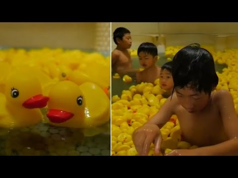 Watch | Warm bath in a pool full of rubber ducks