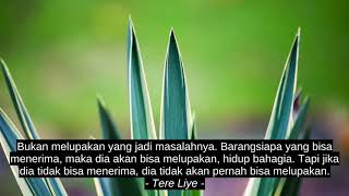 Download lagu Top Motivation Quotes - Tere Liye mp3 Download lagu Top Motivation Quotes - Tere Liye mp3