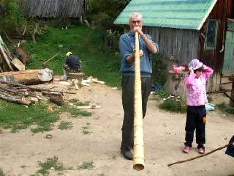 Apuseni 2008 Ghetar - Garda Seaca  Dobra Ionel