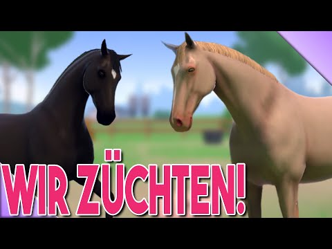 , title : 'Wir 𝐙Ü𝐂𝐇𝐓𝐄𝐍 endlich! 🐴 Equestrian The Game'
