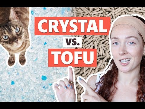 Tofu vs Crystal Cat Litter: The ULTIMATE Showdown
