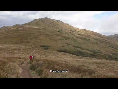 BIESZCZADY wilki niedźwiedzie a i tak każdy tam jedzie