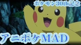 【ポケットモンスター30周年記念】タイプワイルド×ポケモンMAD
