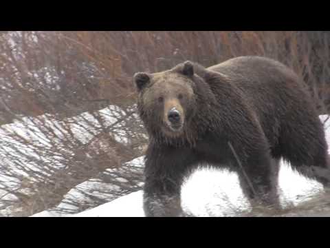 Babe!  Babe!  I don't know about this!