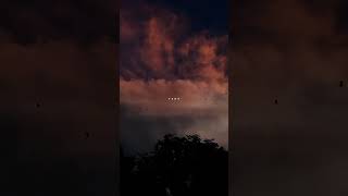 Download lagu Malang | Dhoom: 3 | Female version✨| lyrical song edit ❤️ # Malang # Dhoom3 #newsong2025 mp3 Download lagu Malang | Dhoom: 3 | Female version✨| lyrical song edit ❤️ # Malang # Dhoom3 #newsong2025 mp3