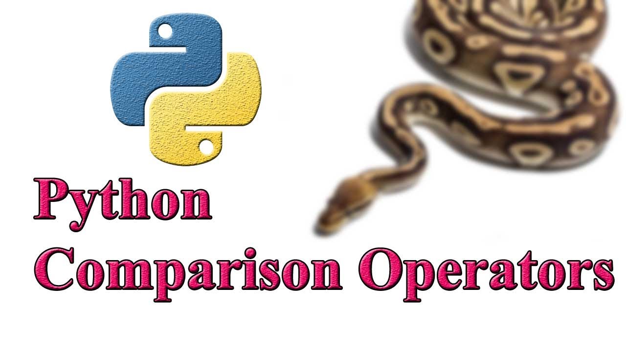 Python Comparison Operators | Non-Programmers | Tech Arkit