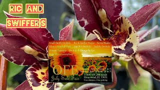 Hoyas Orchids and Tropicals at the OFE July Sale Fair In Homestead Florida