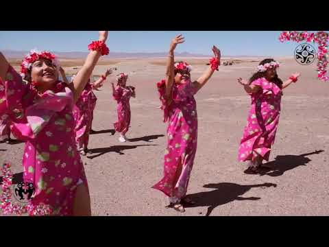 Rapa Nui - Iorana - Junta de Vecinos Villa Ayquina Sector Desco