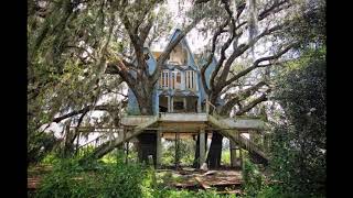 trees eat everything (r/treessuckingonthings)