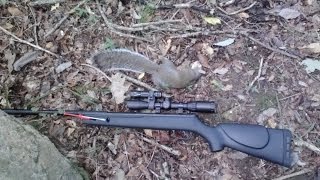 Gamo big cat 1250 reveiw
