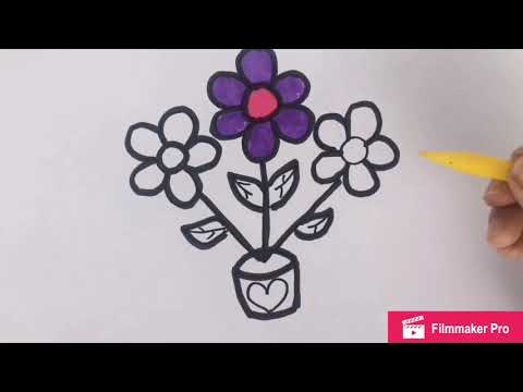 Coloring Wonderful Flower and How To Learn Coloring for Baby
