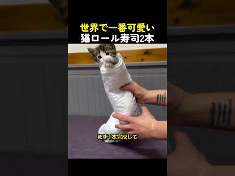 世界で一番可愛い猫ロール寿司2本