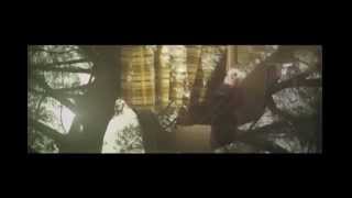 Wild Cub - Colour (Alternative Version) (feat. Jessie Baylin)