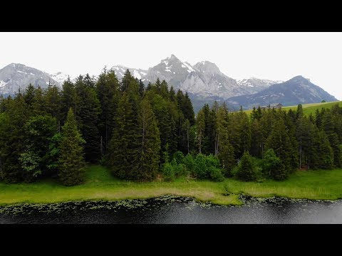 download lagu mp3 mp4 Peter Roth, download lagu Peter Roth gratis, unduh video klip Download Peter Roth Mp3 dan Mp4 Unlimited Gratis