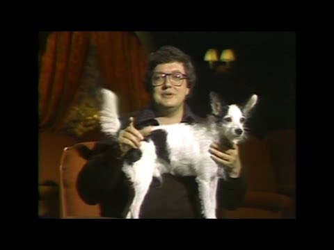 "Dogs of the Week" Movie Reviews Part 1 (1978-1979) Sneak Previews with Roger Ebert and Gene Siskel