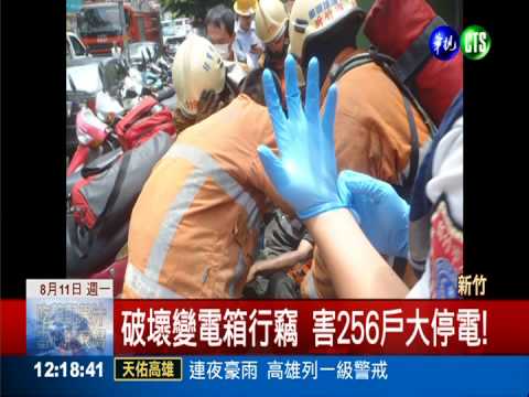 偷電纜慘被灼傷 還害256戶停電!