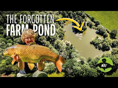 The Forgotten Farm Pond | Carp Fishing UK