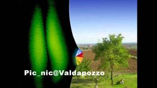 Picchio dal pozzo  - Adriatico