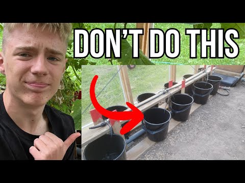 10 Mistakes I Made Buildning My Hydroponic Dutch Bucket System