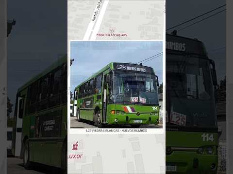 🚌 LÍNEA L25 | PIEDRAS BLANCAS ➡️ NUEVOS RUMBOS 🇺🇾 | #travelboast #bus #shorts #viralshorts