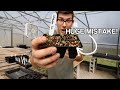 This Transplanting Tip BLEW MY MIND And Saved Me From Killing Plants