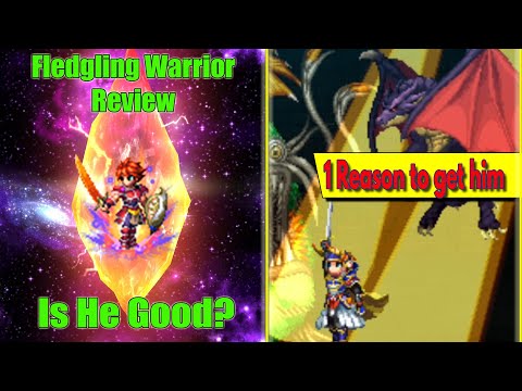 FFBE Neo Vision Fledgling Warrior Review: 1 Only Reason for getting him (#1446)