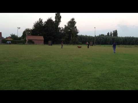 Training 27-08-2013-2