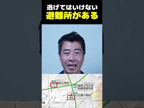 どの低木が鳥を惹きつけるでしょうか？冬には避難場所と避難場所の両方を提供する 5 種以上の種  庭園