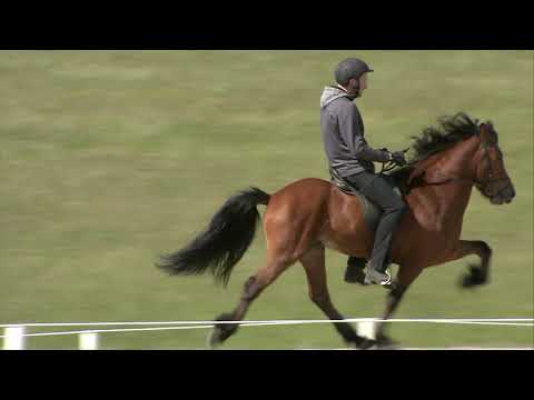 IS2015135010 Mýrkjartan frá Akranesi