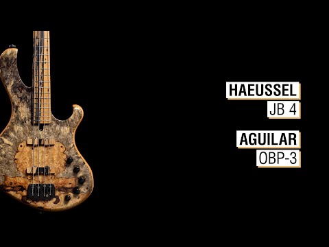Haeussel JB 4 + Aguilar OBP-3 - Frog 4a 34"