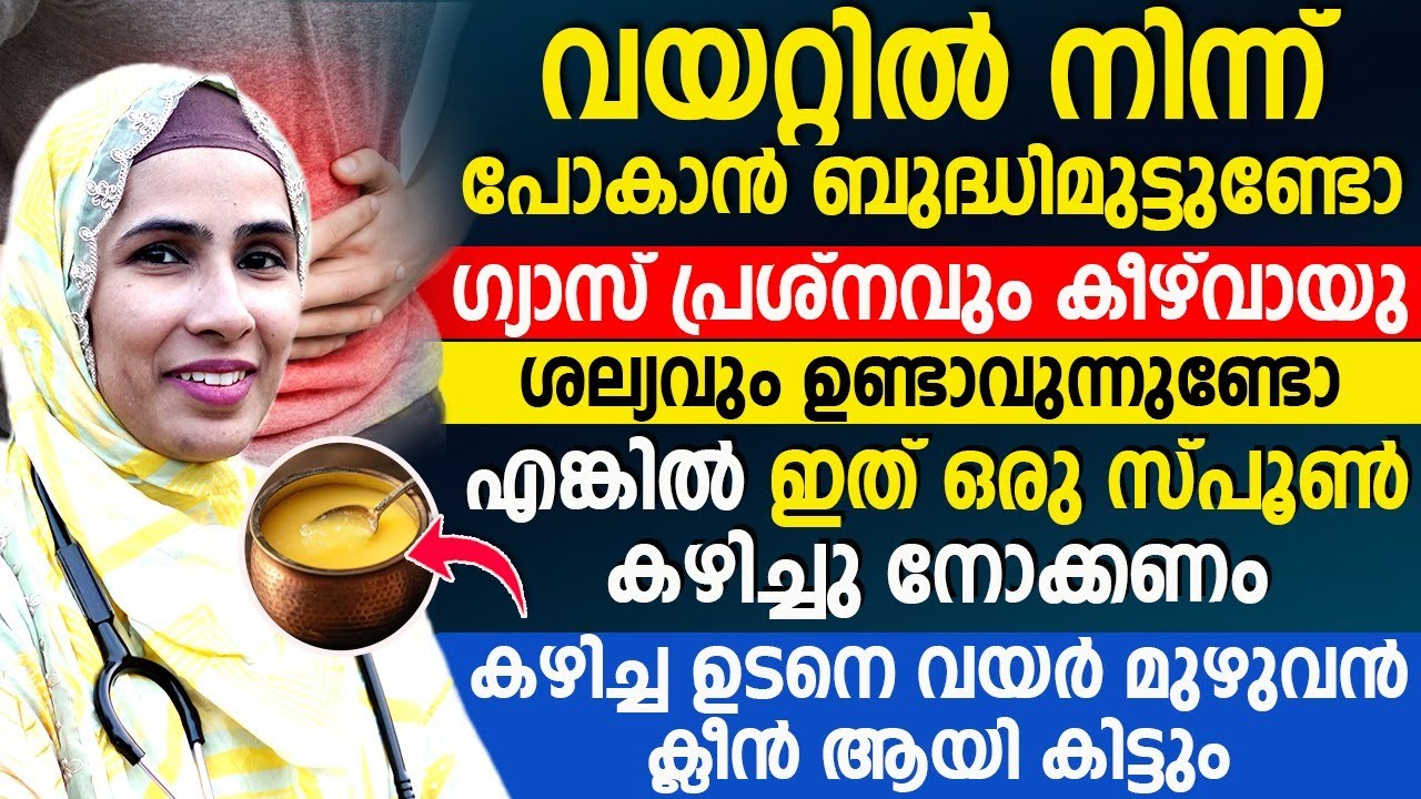 healthy digestive system healthy digestive system