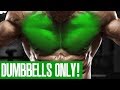 CHEST WORKOUT! (DUMBBELLS ONLY!)