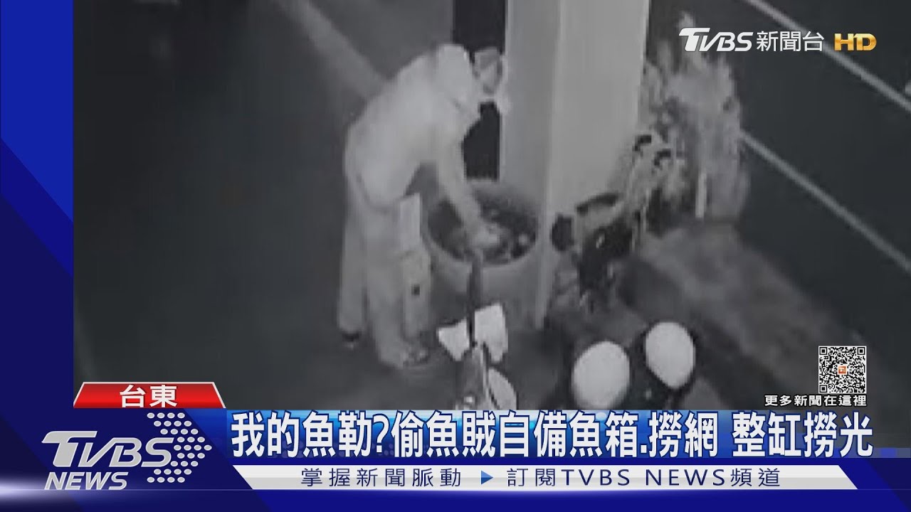 我的魚嘞?偷魚賊自備魚箱撈網 整缸撈光