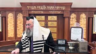 על איזה ברכות חוזר ומברך מספק (הרב יצחק ישראלי) - התמונה מוצגת ישירות מתוך אתר האינטרנט יוטיוב. זכויות היוצרים בתמונה שייכות ליוצרה. קישור קרדיט למקור התוכן נמצא בתוך דף הסרטון