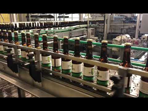 Hohenfelder Bauernschützen Edition