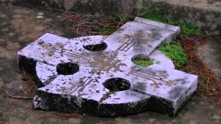 dogs in the cemetery