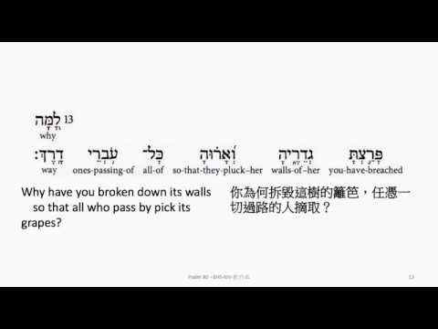 Psalm 80: Hebrew interlinear audio Bible 希伯來文聖經:詩篇第八十篇