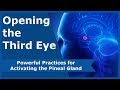 Opening The Third Eye Powerful Practices For Activating The Pineal Gland