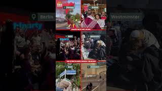 Download lagu people are taking to the streets to say the Israeli genocide must end, and Palestine must be free. mp3