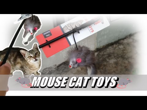 Kucing Kampung - Review Mainan Tikus