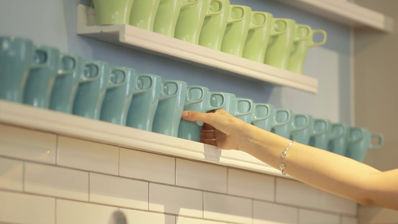 The Vets4Pets Support Office Tour! | Vets4Pets