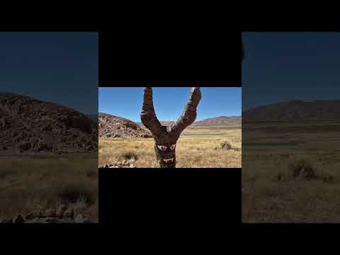 Arenal de huancal ,jujuy abra pampa hace 50 días estamos por jujuy recorrimos toda la yunga jujeña