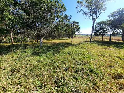FAZENDA À VENDA EM CEZARINA – GO | 6 ALQUEIRES