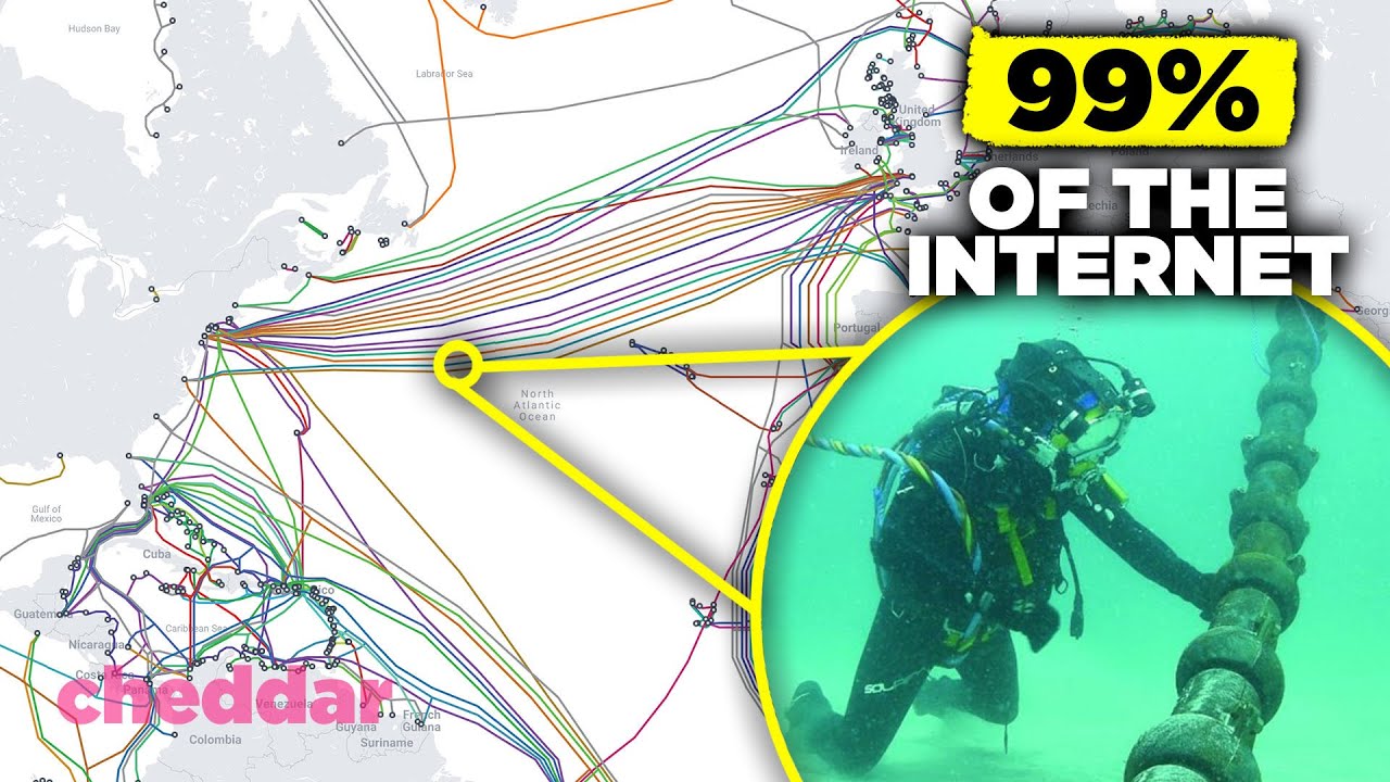 What is the rarest Beanie Boo in the world? Tipseri