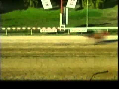 Resumen Domingo, 08 de Enero de 2012 - Valencia